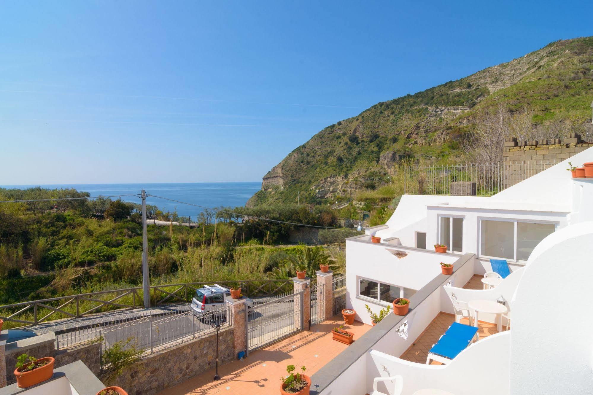 Fumerie Forio di Ischia